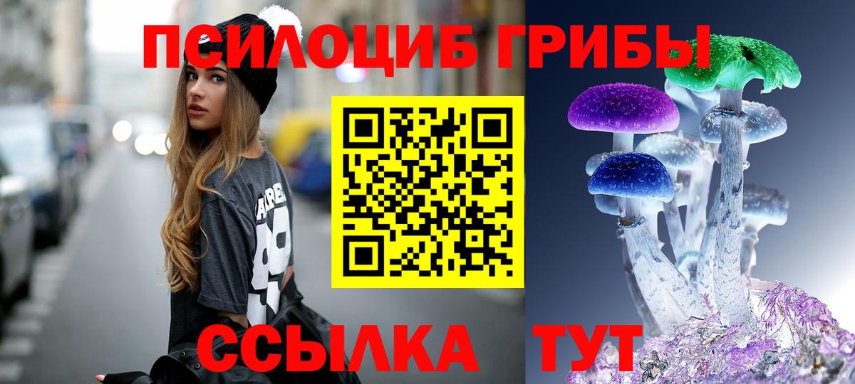 Галлюциногенные грибы Magic Shrooms  Вход с VPN  Северобайкальск 